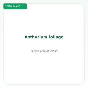 หน้าวัวใบ (Anthurium foliage)