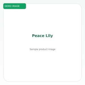 เดหลี (Peace Lily)
