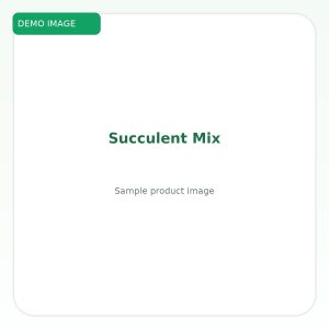 ซัคคิวเลนต์มิกซ์ (Succulent Mix)