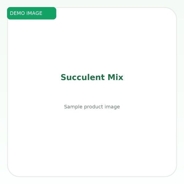ซัคคิวเลนต์มิกซ์ (Succulent Mix)