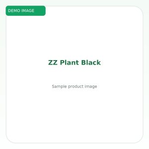 กวักมรกตดำ (ZZ Plant Black)